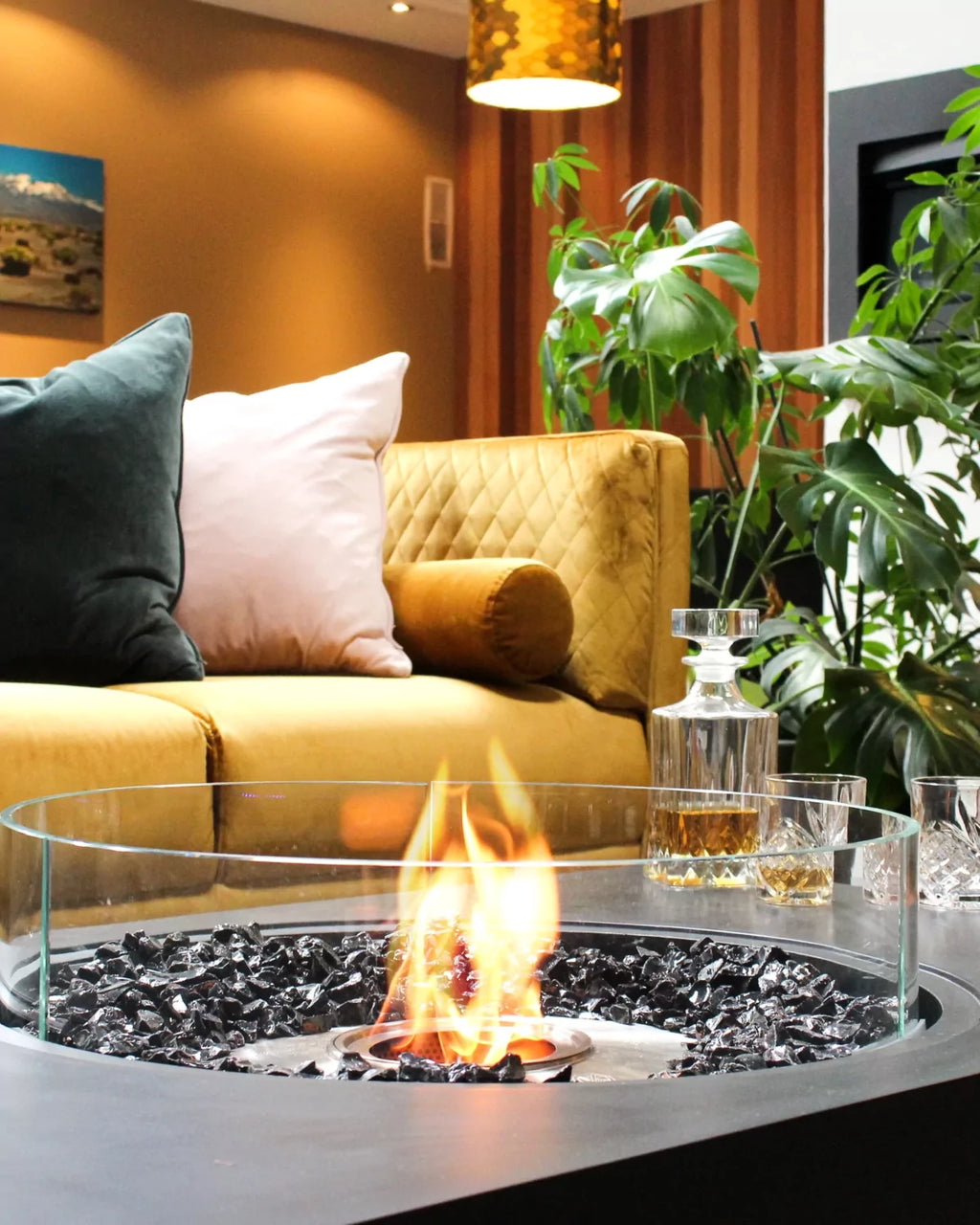 Martini 50 - Lifestyle Wellington Studio